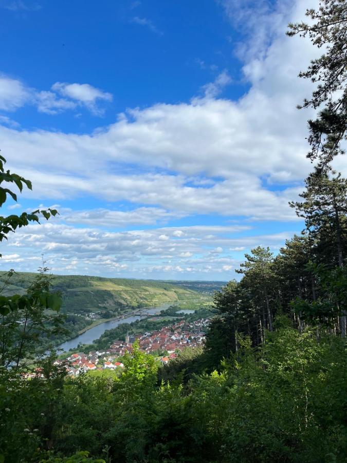 Maindrei - Schlafen Am Fluss Hotel Margetshöchheim Екстериор снимка
